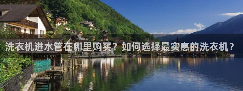 球盟会下载最新版