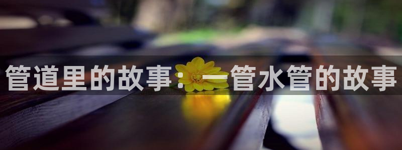 球盟会黑款吗知乎