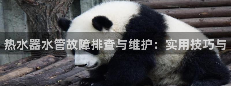 球盟会官网入口