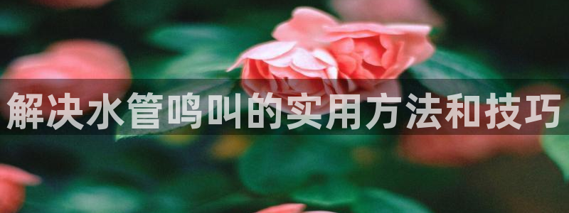 球盟会和中欧会的区别