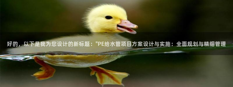 球盟会qmh - 球盟会官方网站