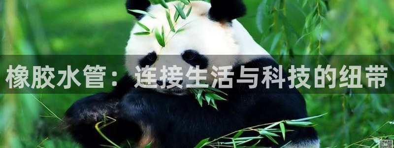 球盟会登录平台入口