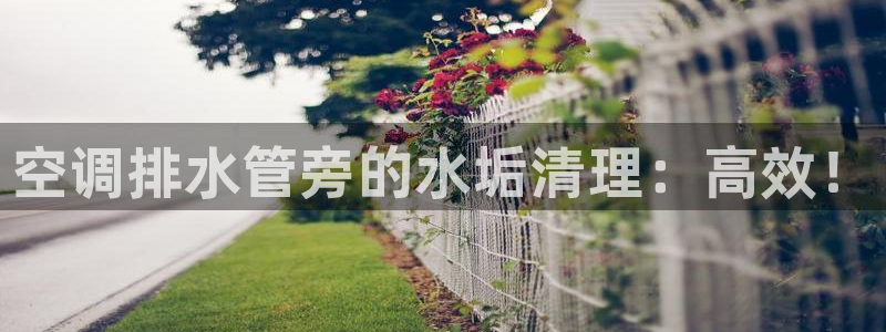 球盟会qmh电子网页版登录