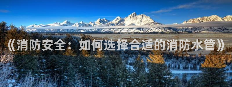 球盟会官网网页版