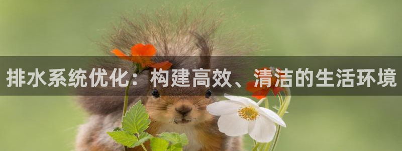 球盟会黑款吗知乎文章