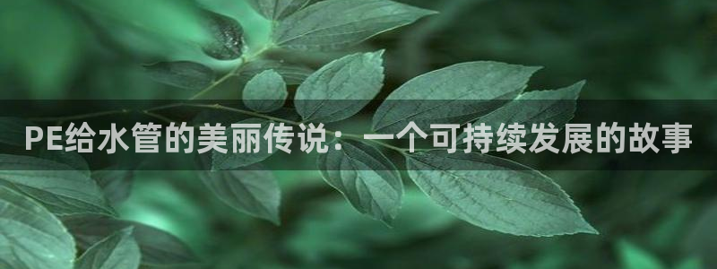 球盟会官方网站app