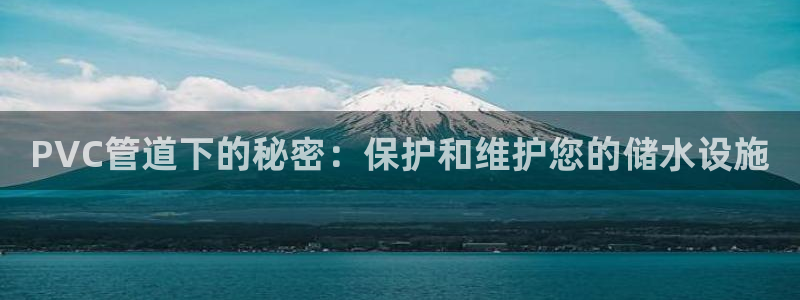 球盟会有没有黑单的活动