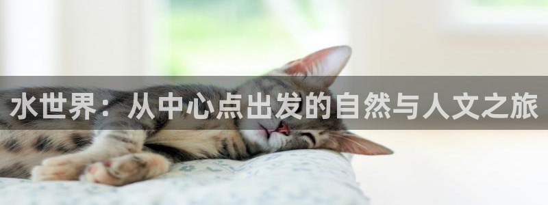 球盟会APP最新地址