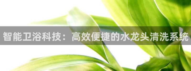 球盟会官方登录平台入口
