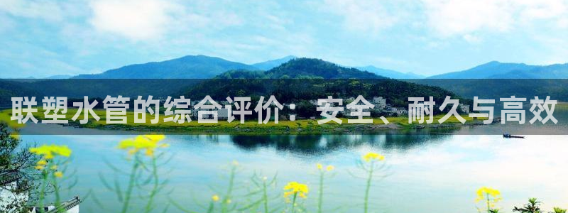 球盟会和中欧合作吗