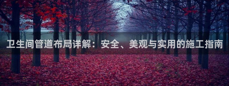 球盟会app网址多少号