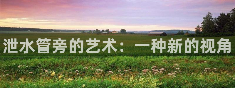 球盟会和中欧合作吗