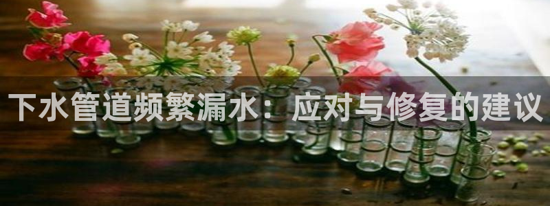 球盟会官方版下载地址