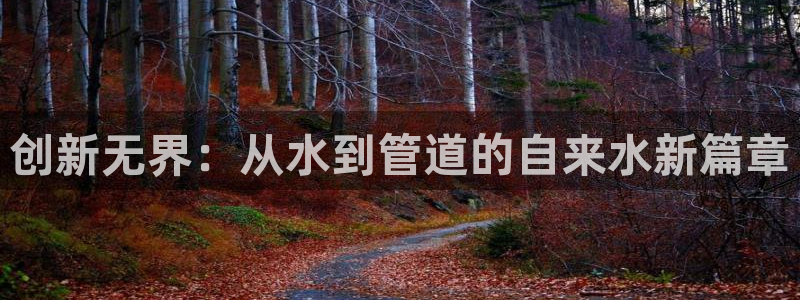 球盟会官方最新入口