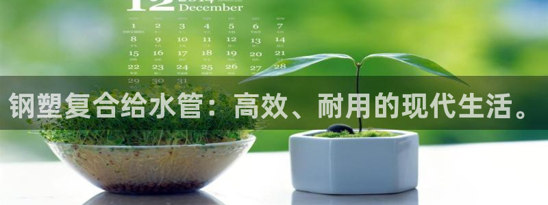 球盟会可以提现么现在