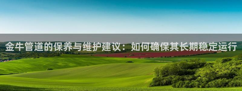 球盟会网页登录