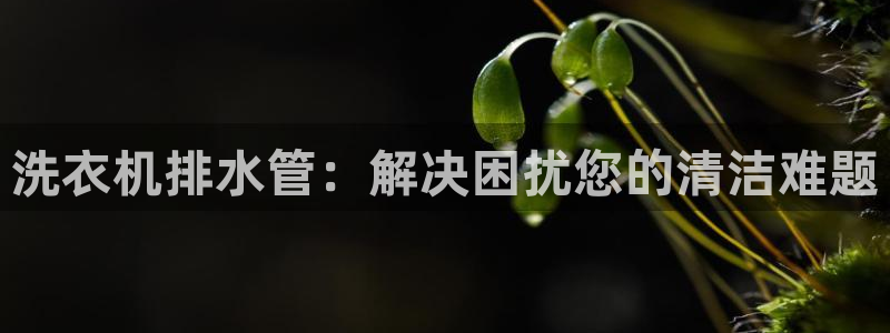 球盟会下款快吗