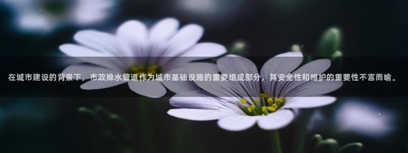 球盟会登录平台