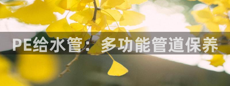 球盟会电子好下吗