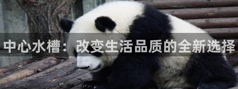 球盟会qmh官网