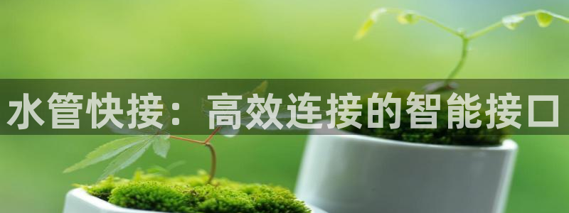 球盟会里面有打牌的嘛