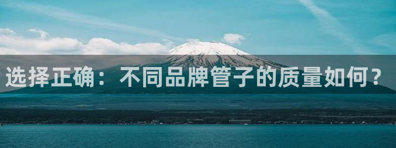 球盟会几点玩合适