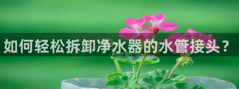 球盟会网页版登陆