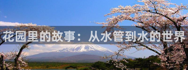 球盟会app网址多少号