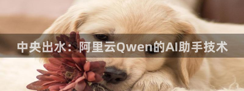 球盟会中国网页登录