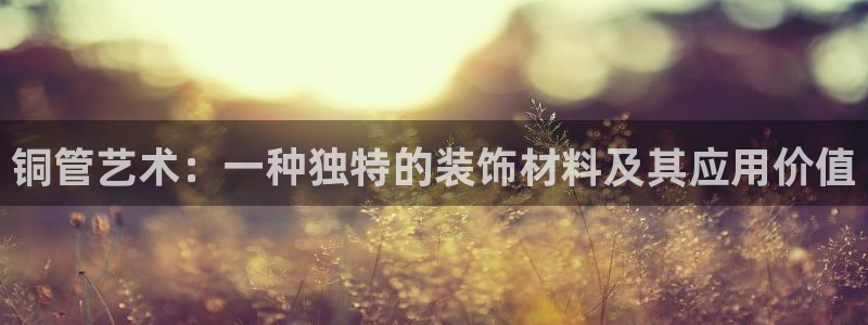 球盟会在线登入