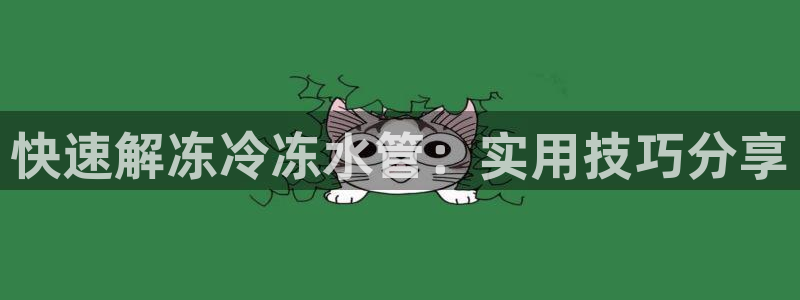 球盟会有限公司怎么样