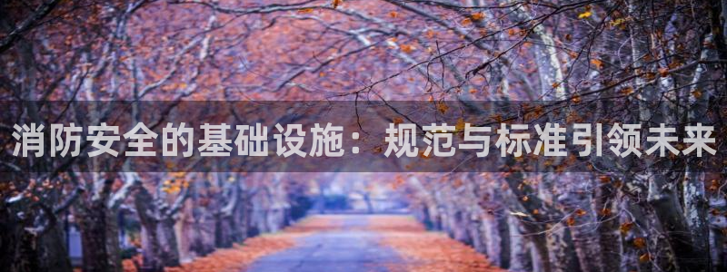 球盟会黑款吗还是白款