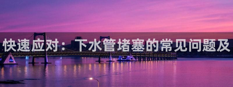 球盟会黑款吗知乎小说