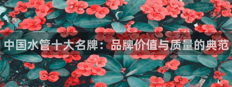 球盟会综合app下载