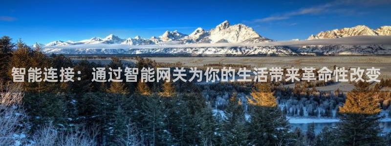 球盟会有没有黑单的