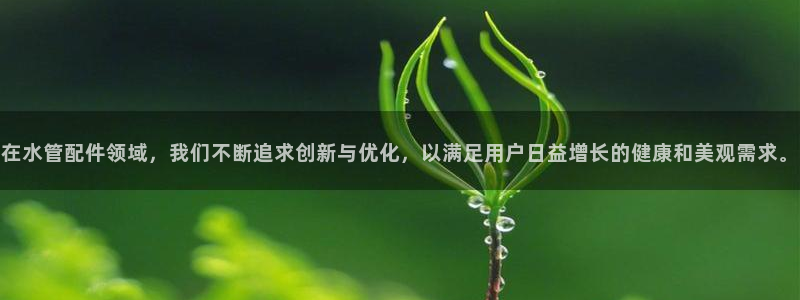 球盟会体育app官方网站