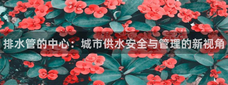 球盟会可以提现么现在