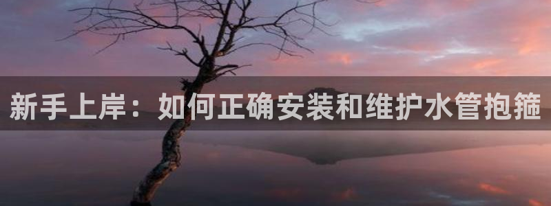 球盟会游戏几点玩合适