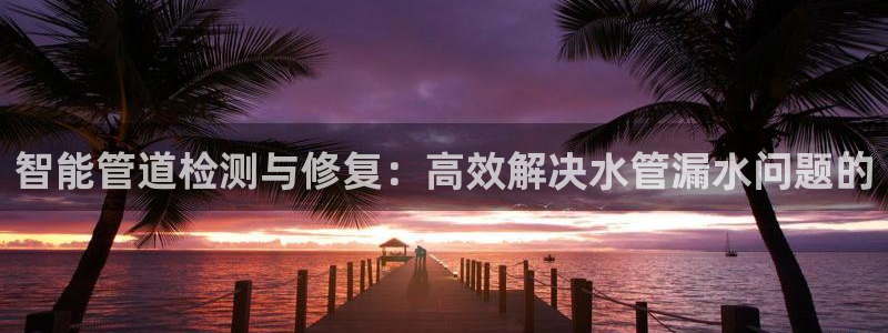 球盟会电子