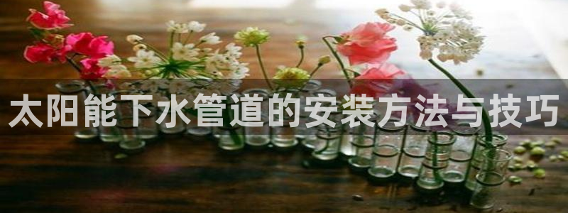 球盟会优惠券