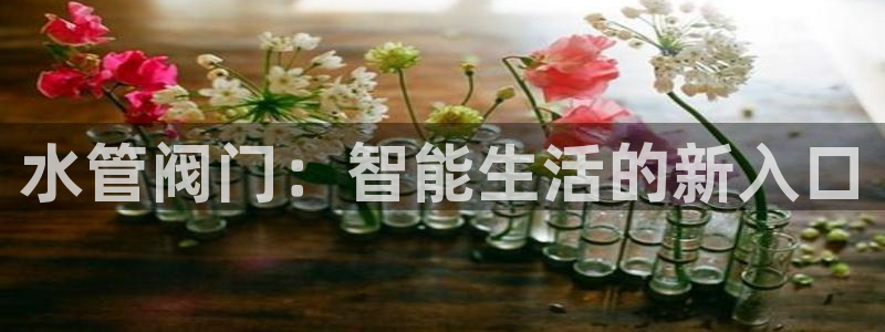 球盟会贴吧