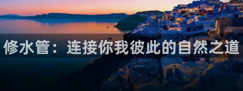 球盟会官方版下载地址