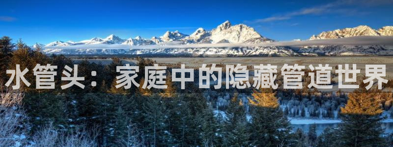 球盟会登录入口