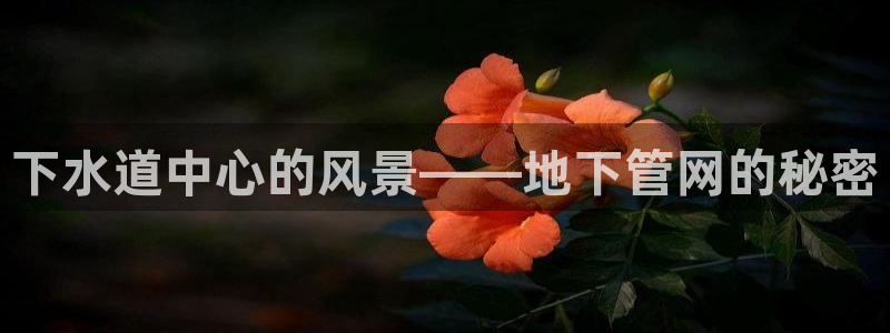 球盟会中国官方网站