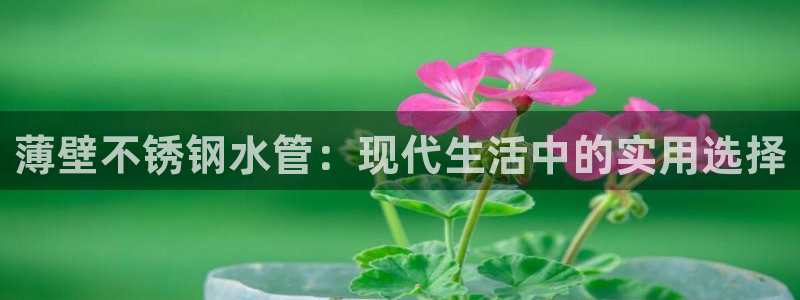 球盟会黑平台