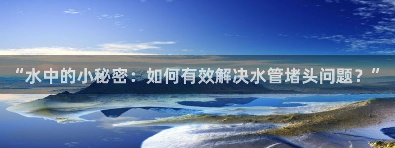 球盟会官网入口