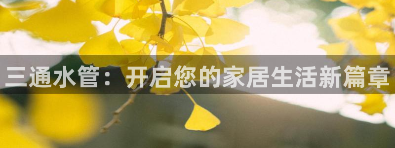 球盟会黑款吗还是白款
