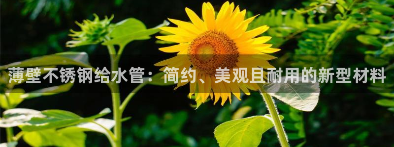 球盟会优惠码
