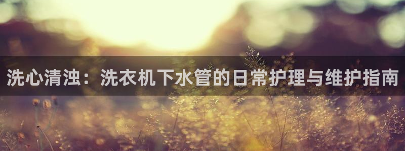 球盟会官方版下载地址