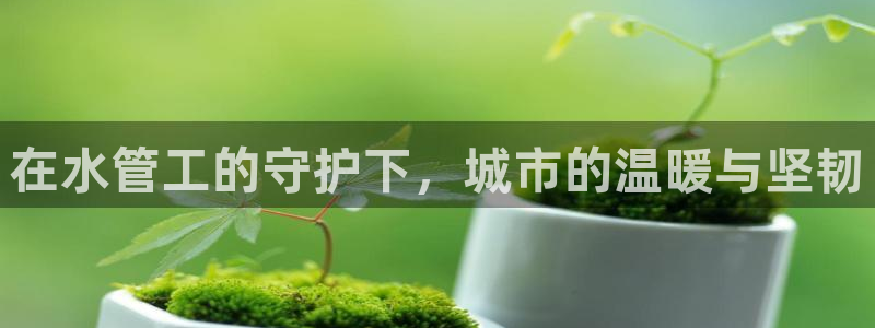 球盟会里面有打牌的嘛知乎